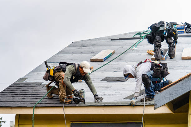 Professional Storm Damage Roof Repair technician working in Parlin, CO